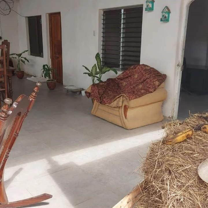 Hostal Brisas Del Ometepe Rivas Εξωτερικό φωτογραφία